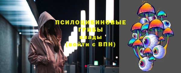 соль ск Алзамай