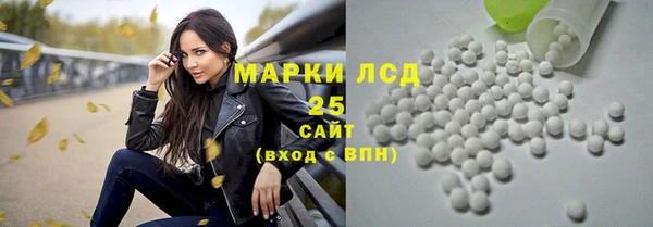 ПСИЛОЦИБИНОВЫЕ ГРИБЫ Алексеевка