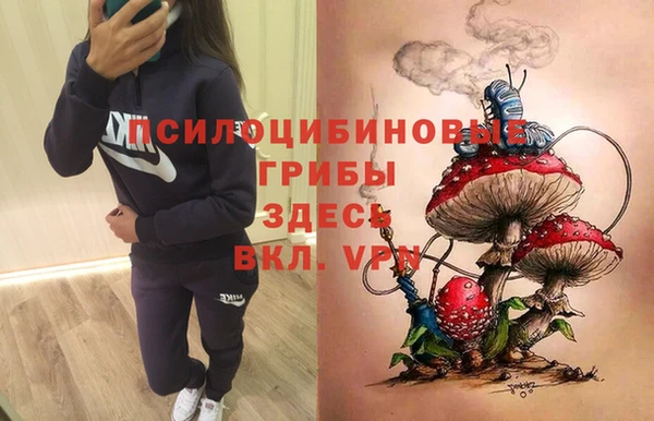 крисы Нефтекумск