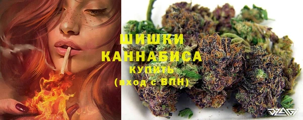 ПСИЛОЦИБИНОВЫЕ ГРИБЫ Алексеевка