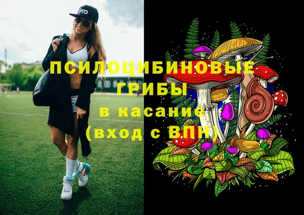 соль ск Алзамай