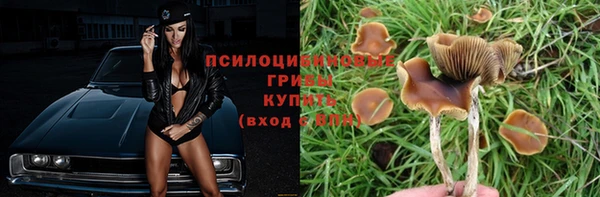 ПСИЛОЦИБИНОВЫЕ ГРИБЫ Алексеевка