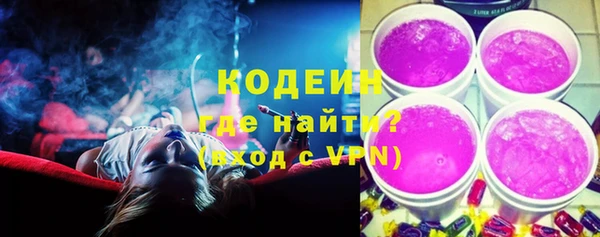 соль ск Алзамай