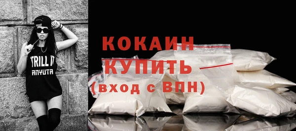 соль ск Алзамай