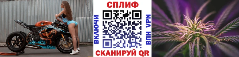 Канабис OG Kush  Спасск-Рязанский 